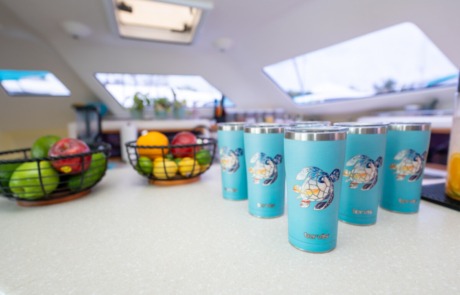 Guest Cups in Galley